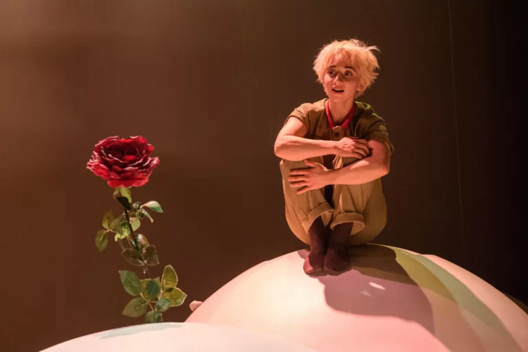 Protein Dance – The Little Prince