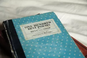 Ipswich 100: Children’s Poetry Creative Workshop