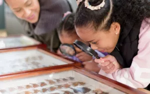 Museum Discovery Day 2025