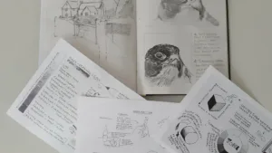 Drawing Skills (form and shading) with Steve Joyce
