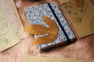 Book-Making and Decorative Papers, Notebooks & Albums