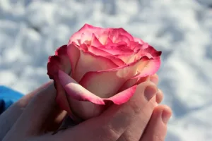 Women’s Health Hope Support Group