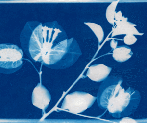 Camera-less Printing for Christmas