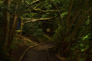 Friends and Networks photography exhibition