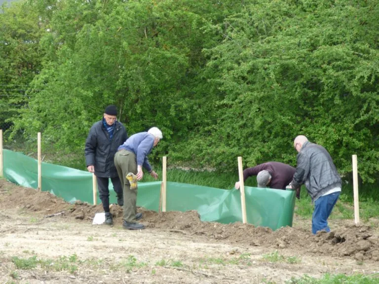 Greenways Countryside Project - Ipswich.love