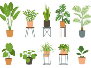 Flat Pack Fauna Workshop with Joel Millerchip
