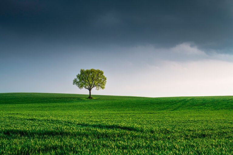 Spotlight Suffolk: Green Future – Hype or Hope? - Ipswich.love