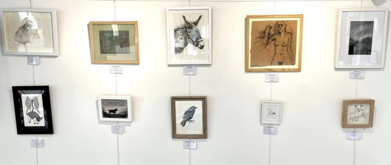 ‘Perspectives on Drawing Animals’ - Ipswich.love
