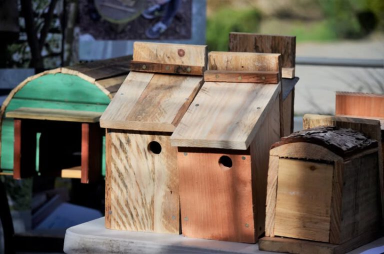 Wildlife Homes Event - Ipswich.love