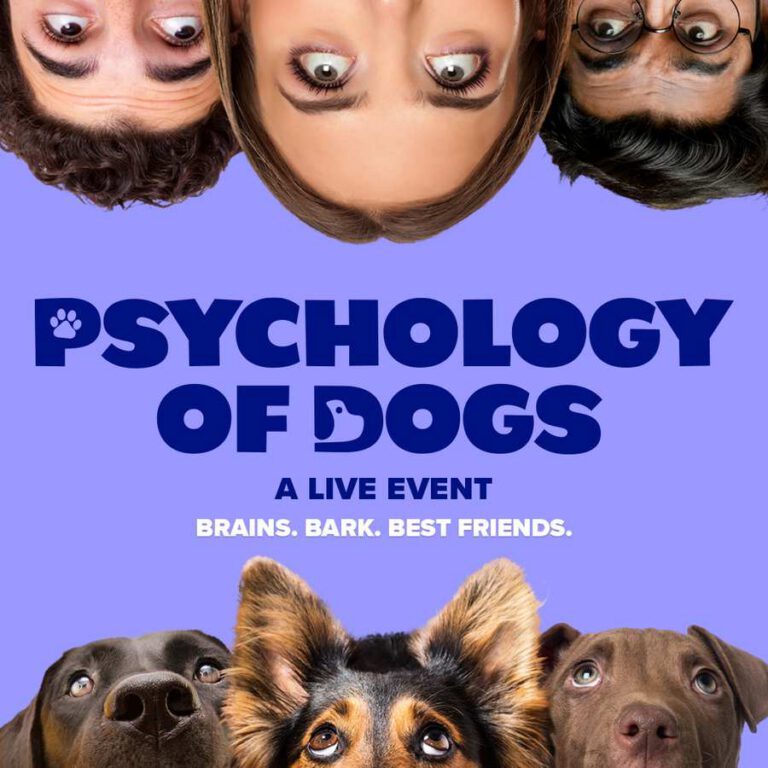 The Psychology Of Dogs - Ipswich.love