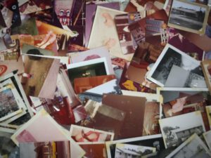 Photography Animation with Gillian Allard