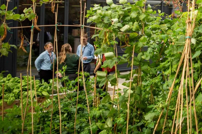 Earth Day – Revisiting Sustainability: Why Social Value Matters - Ipswich.love