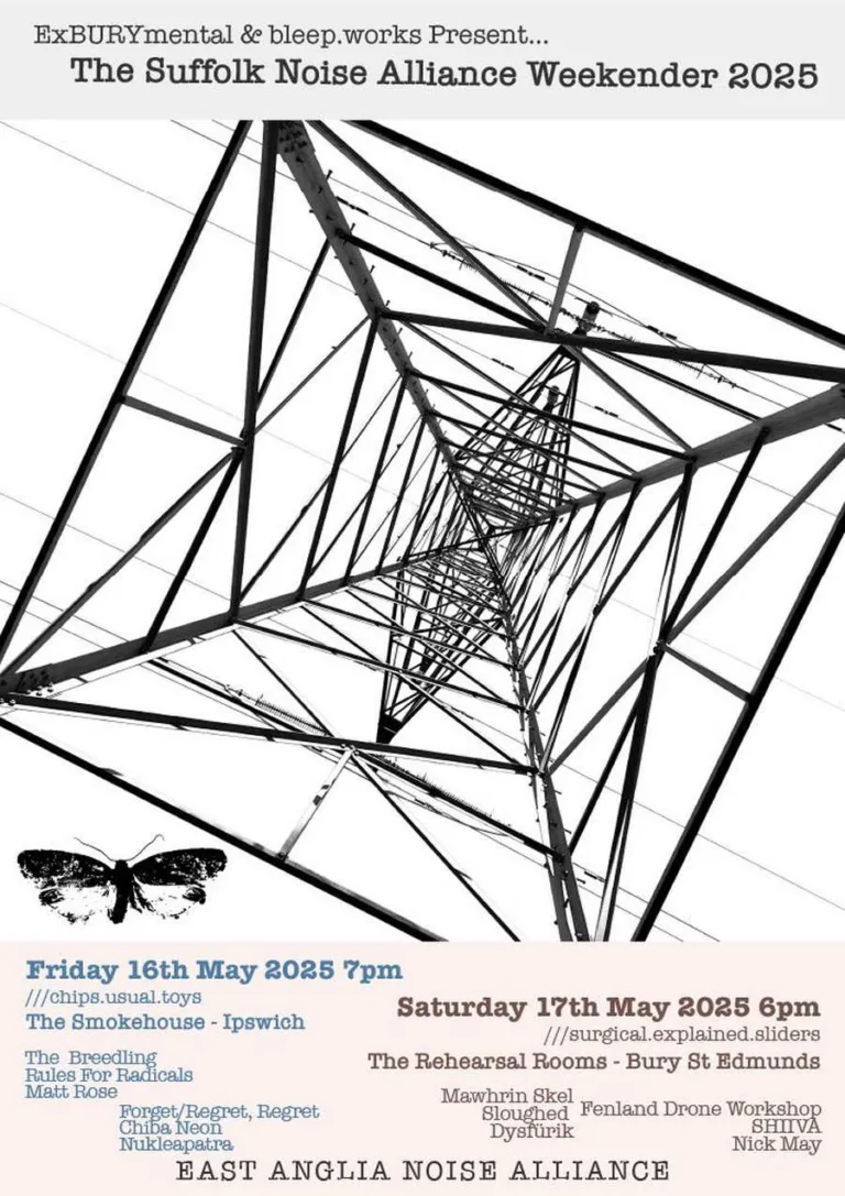 Suffolk Noise Alliance 2025 - Ipswich.love