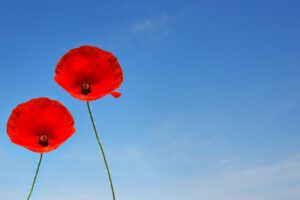 Commemorations and celebrations for VE Day – evening