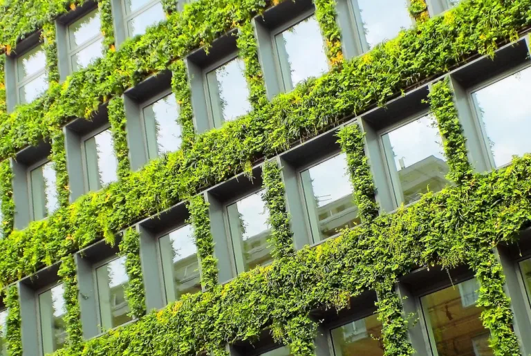 Sustainable Construction: ESG Implementation & Carbon Strategies - Ipswich.love