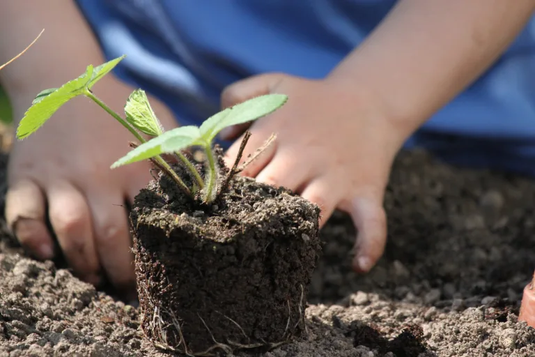 Wildlife & Gardening Session for Childminders & Their Children - Ipswich.love