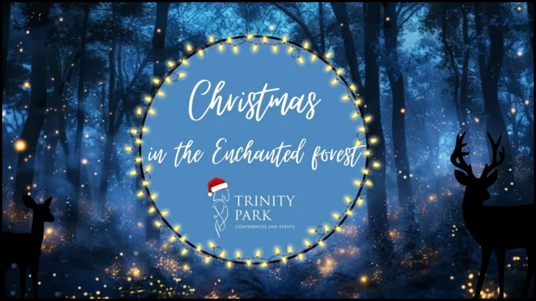 Enchanted Forest – Christmas at Trinity Park - Ipswich.love