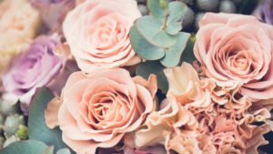 Trinity Park Events Wedding Fayre