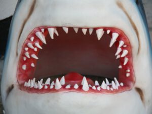Jaws