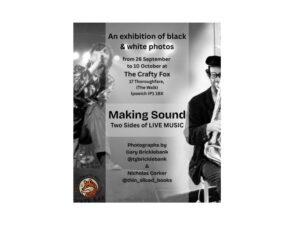 An exhibition of Black and White Photos – Making Sound, two sides of live music