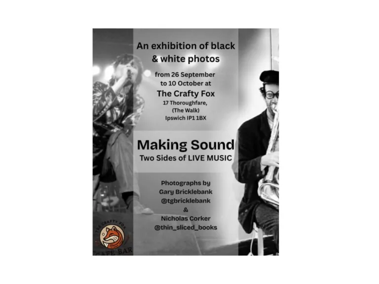 An exhibition of Black and White Photos – Making Sound, two sides of live music