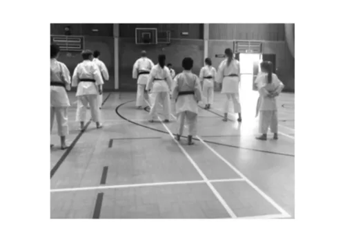 Northgate & Associated Karate Clubs – Tuesday Juniors & Adults