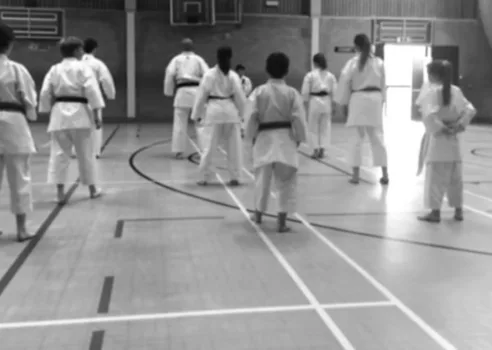 Northgate & Associated Karate Clubs – Tuesday Juniors & Adults - Ipswich.love
