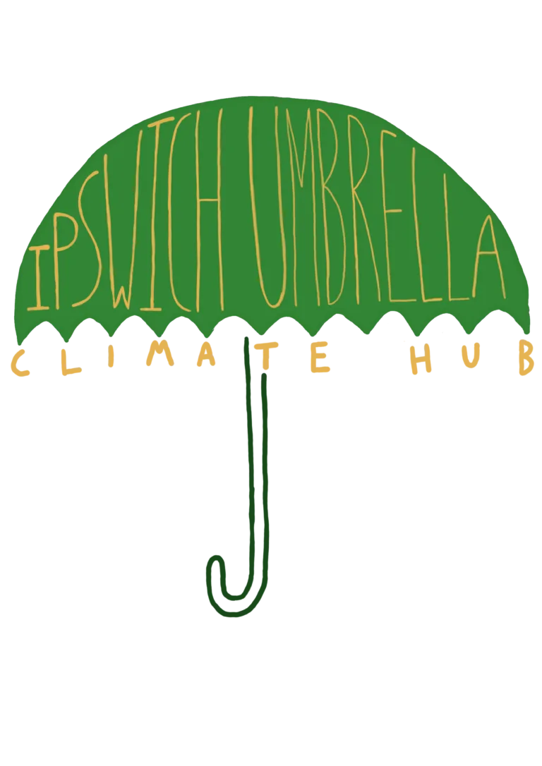 Ipswich Umbrella – Street Stall – in the Butter Market