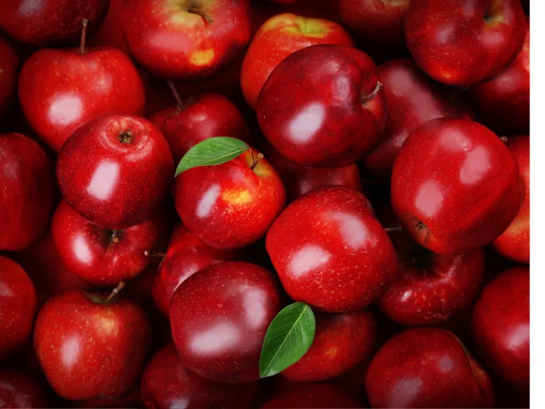 Apple Day event!
