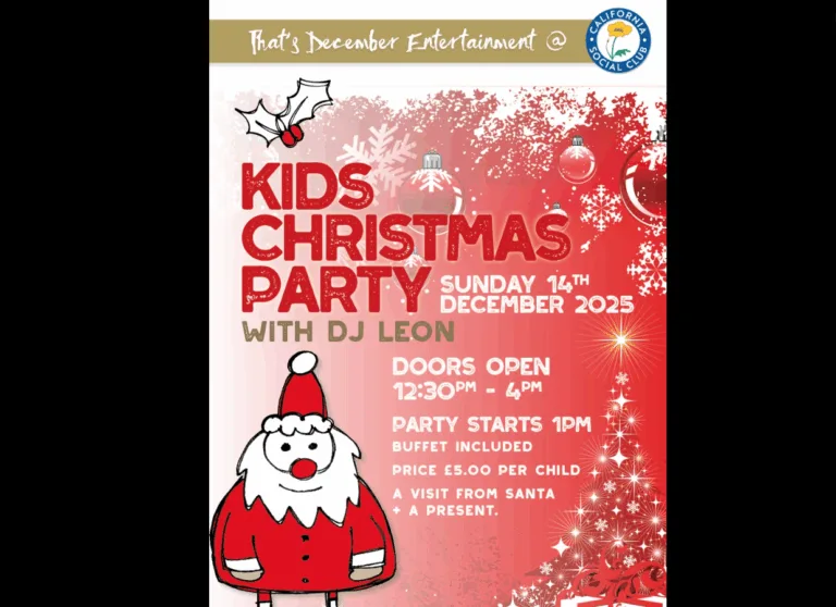 Kids Christmas Party