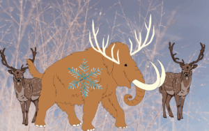 Woolly’s Reindeer Trail