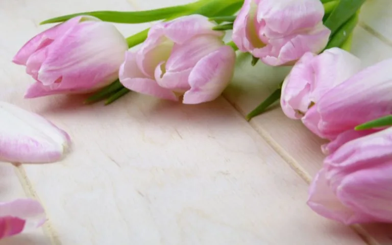 Mother’s Day Sunday Lunch, Sunday 15th March 2026
