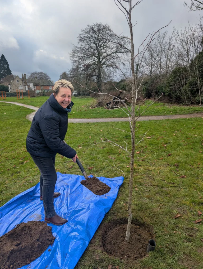 1,250 New Trees to Be Planted Across Ipswich During Ipswich Loves Trees Week