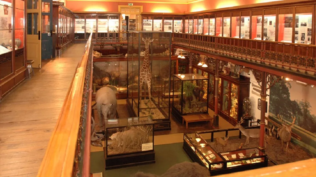 The Museum Beginnings - Ipswich.love