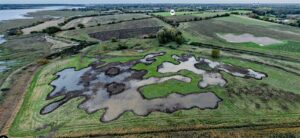 Martlesham Wilds – Two years on
