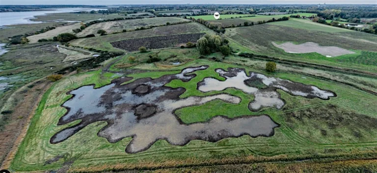 Martlesham Wilds – Two years on