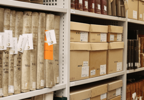 Behind The Scenes Tour and Conservation Studio Visit