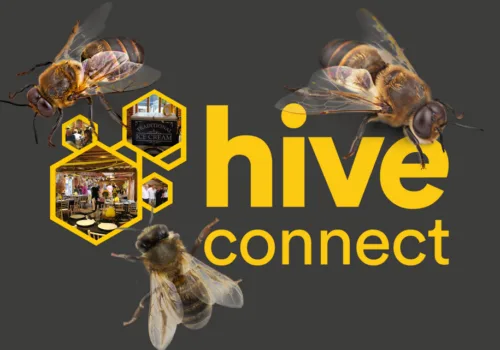 Hive Connect – Business Networking within the logistics industry - Ipswich.love