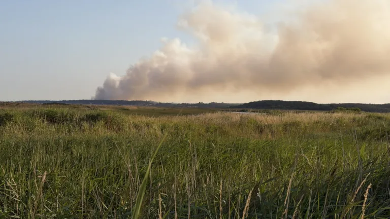 Dunwich Heath is burning — and Ipswich crews are on it - Ipswich.love