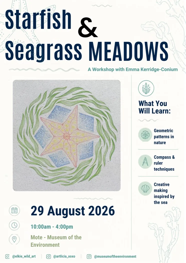 Geometry in Nature: Starfish and Seagrass Meadows - Ipswich.love