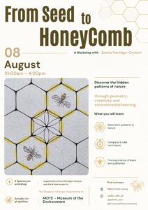 From Seed to HoneyComb