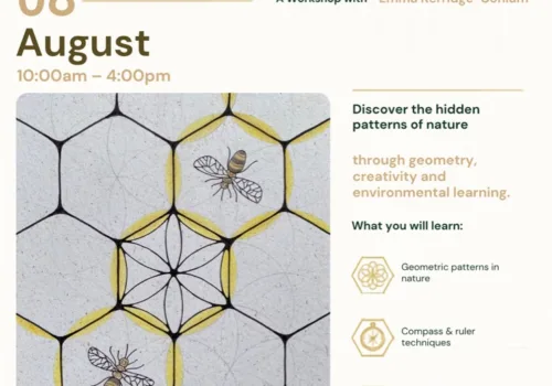 From Seed to HoneyComb - Ipswich.love