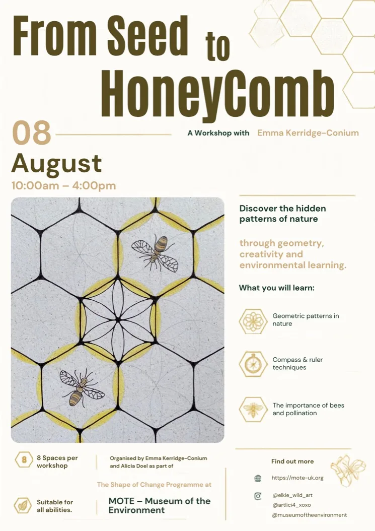 From Seed to HoneyComb - Ipswich.love