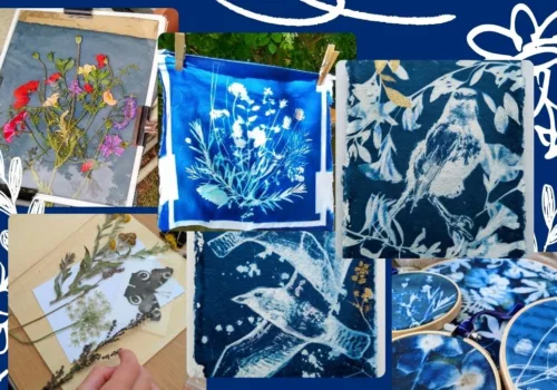 Experimental Sun Printing for Adults