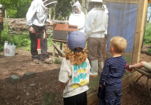 ‘Go Wild’ Family Nature Day - Ipswich.love