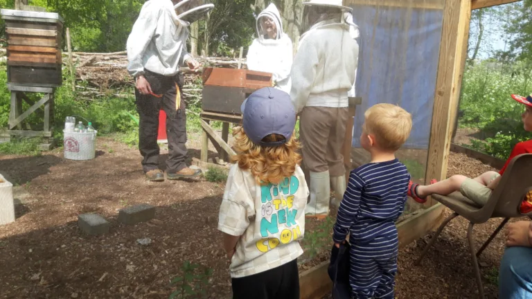‘Go Wild’ Family Nature Day - Ipswich.love