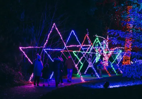 Illuminate Ipswich 2026 - Ipswich.love