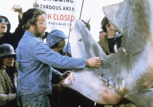 Jaws (12A) - Ipswich.love