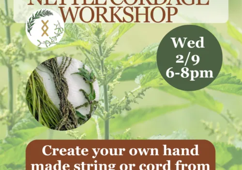 Ancestral Skills Classes: Nettle Cordage Making Workshop - Ipswich.love