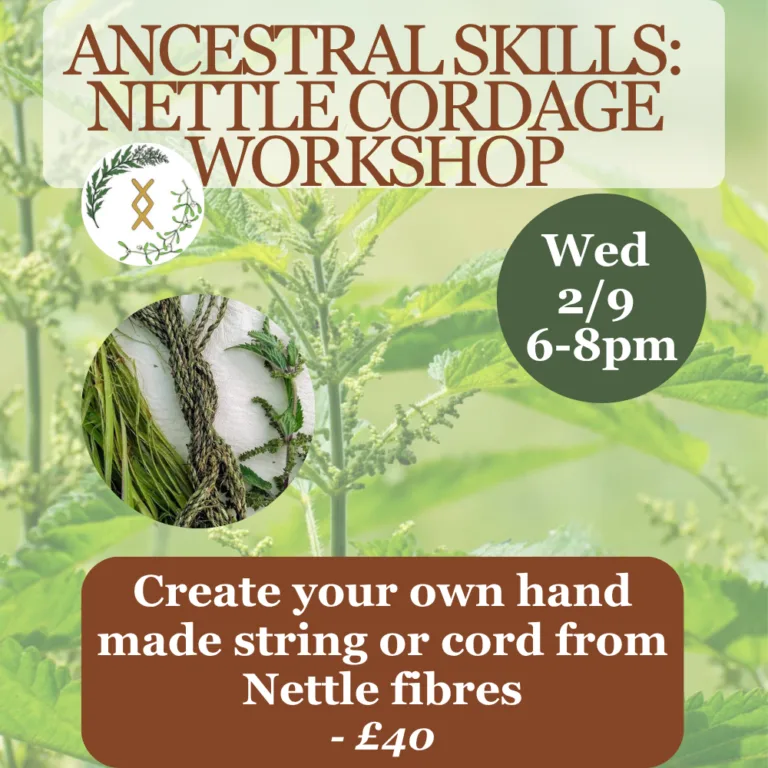 Ancestral Skills Classes: Nettle Cordage Making Workshop - Ipswich.love